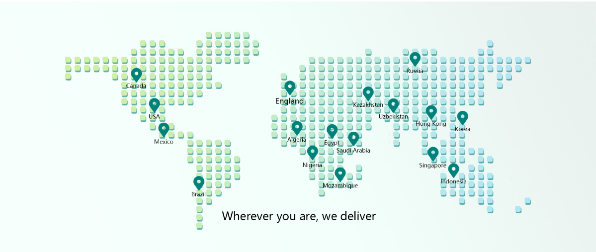 GLOBAL FOOTPRINT